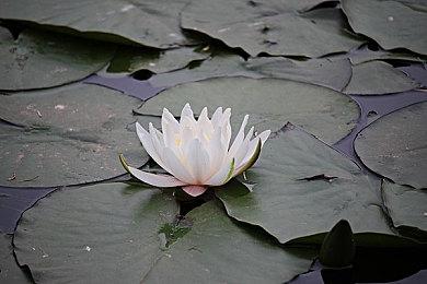 暴雪意外泄露怀旧服《巫妖王之怒》发布时间